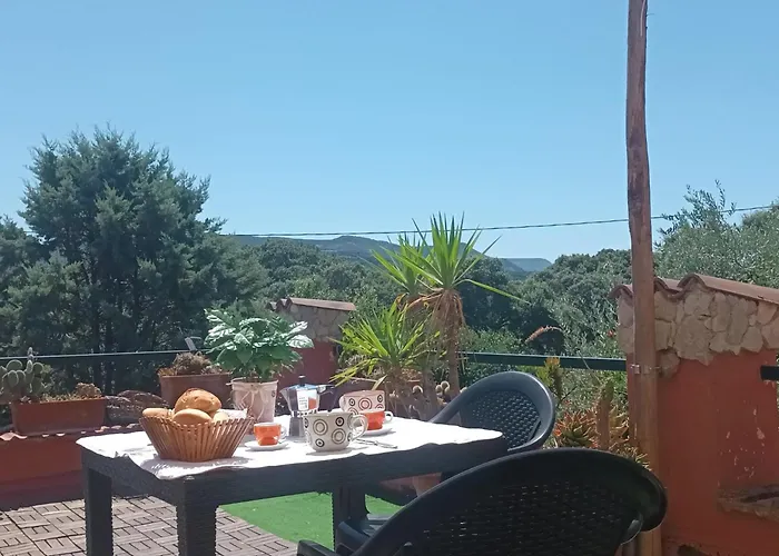 Il Vecchio Lentisco