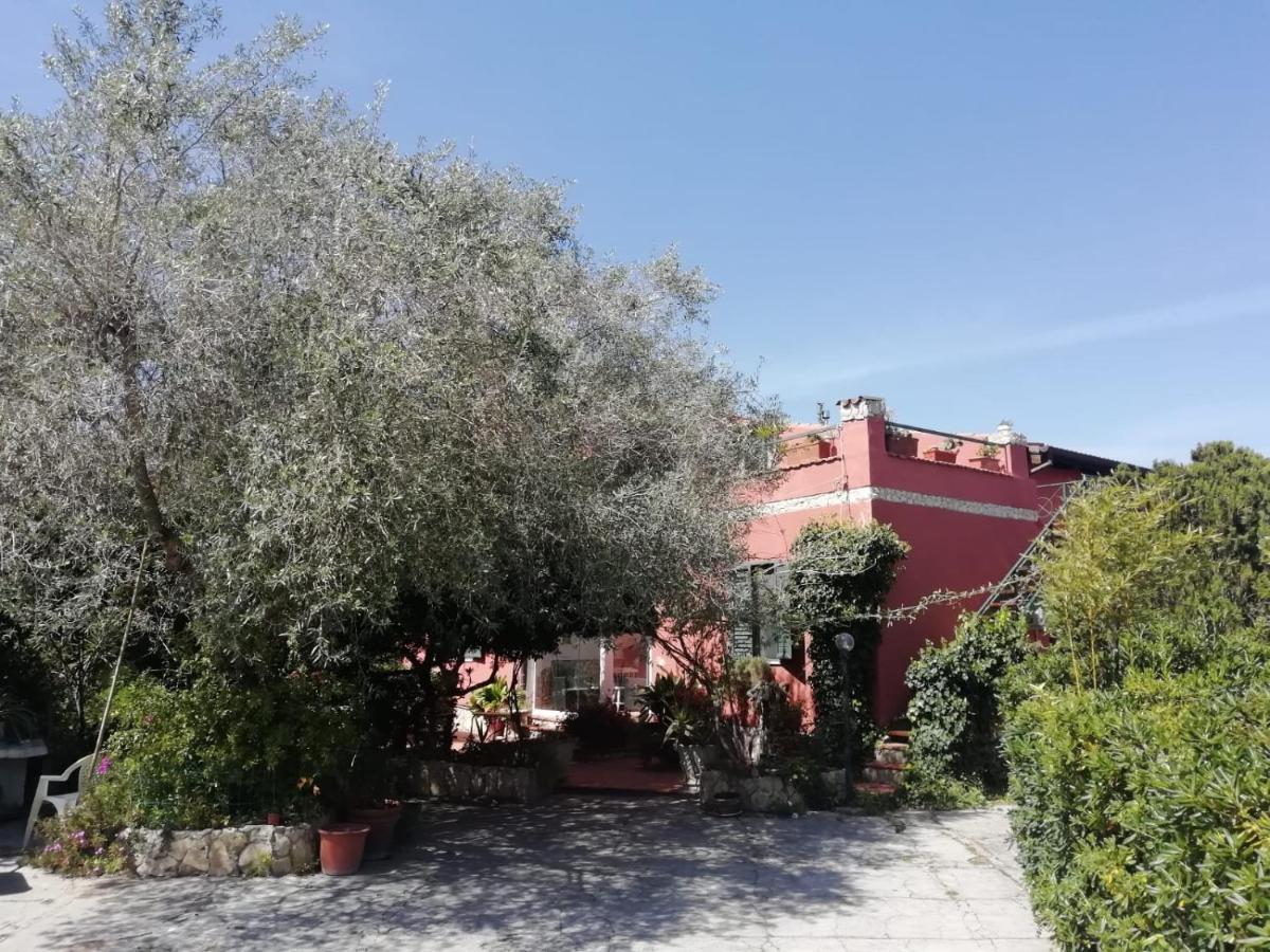 Il Vecchio Lentisco Apartment