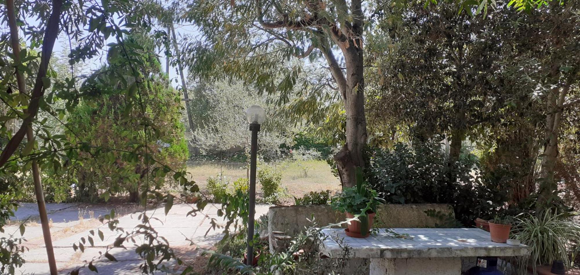 Il Vecchio Lentisco Alghero